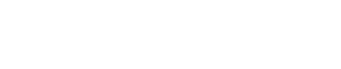 Avaion Logo Weiss